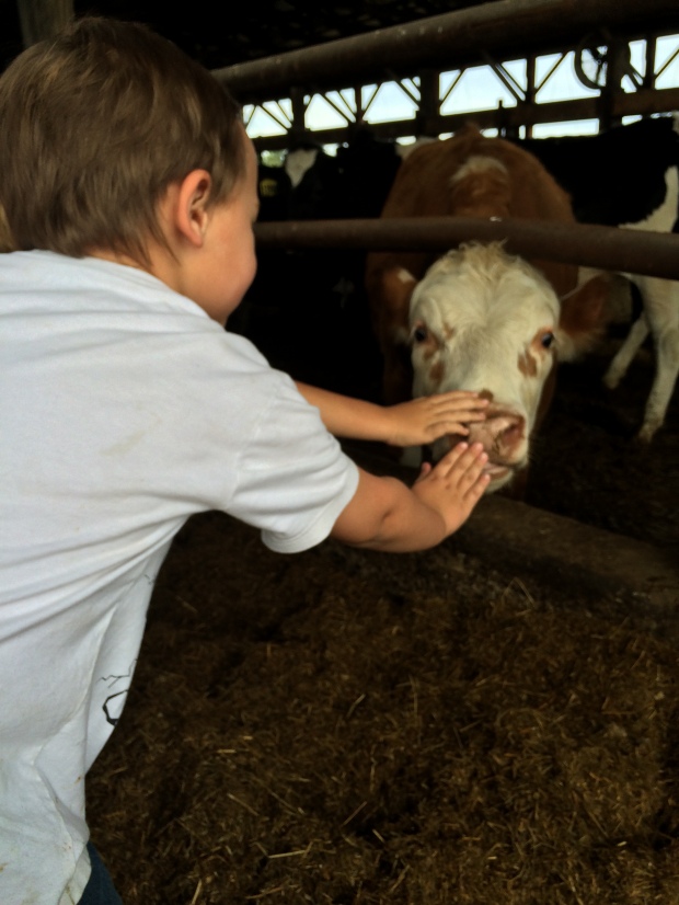 When a child gets the opportunity to  know WHERE their food comes from they get to know from whom. 
